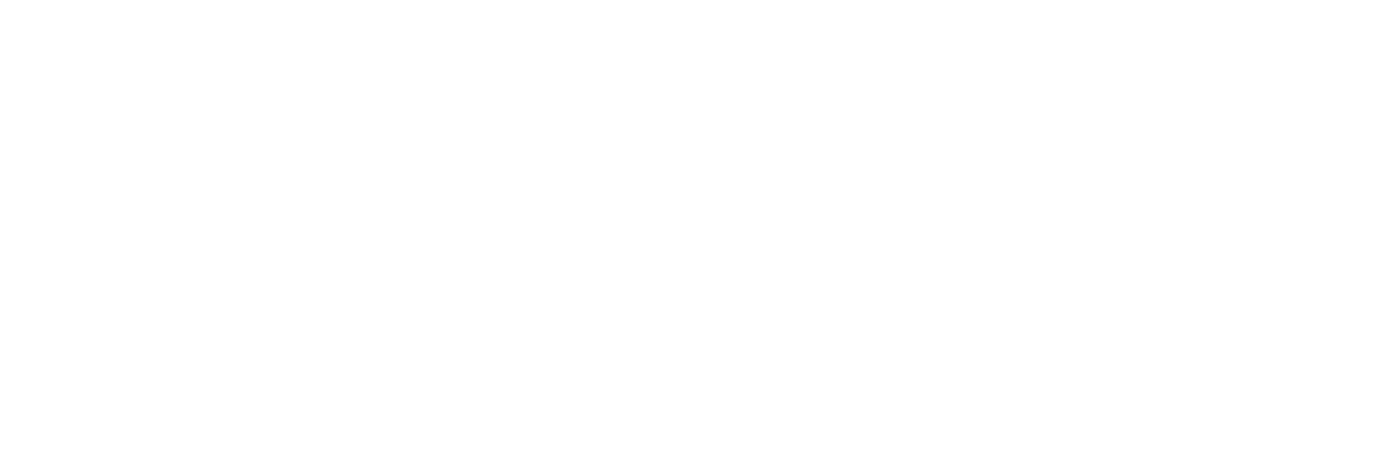 Australian Crisis Simulation Summit